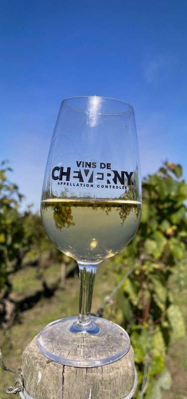 Verre de vin blanc, sur un poteau en bois au milieu du vignoble sur fond de ciel bleu